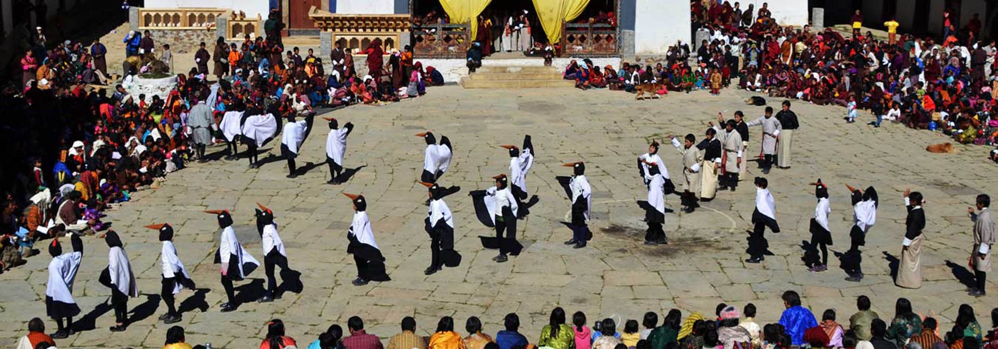 The Black Necked crane Festival