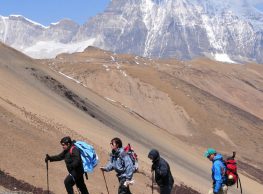 Trekking Tours